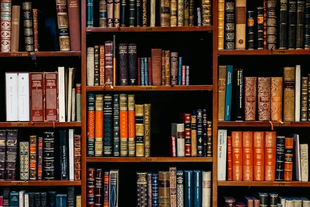 Library shelves holding a varied collection of academic books